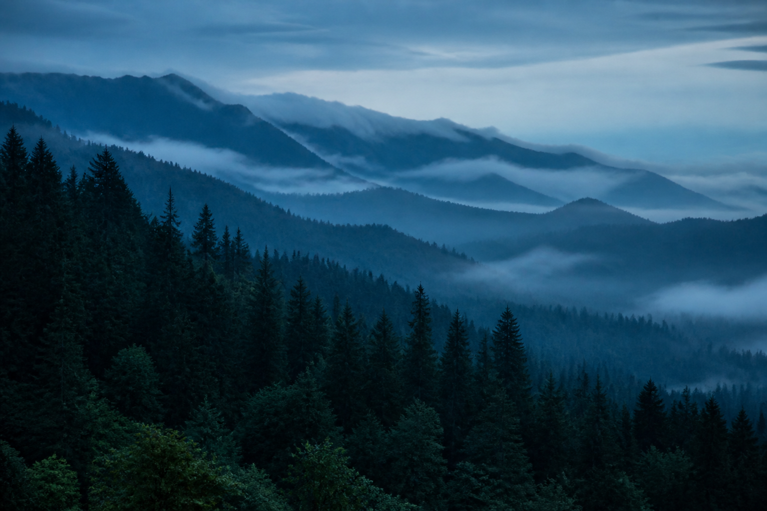 Misty blue mountain rainforest